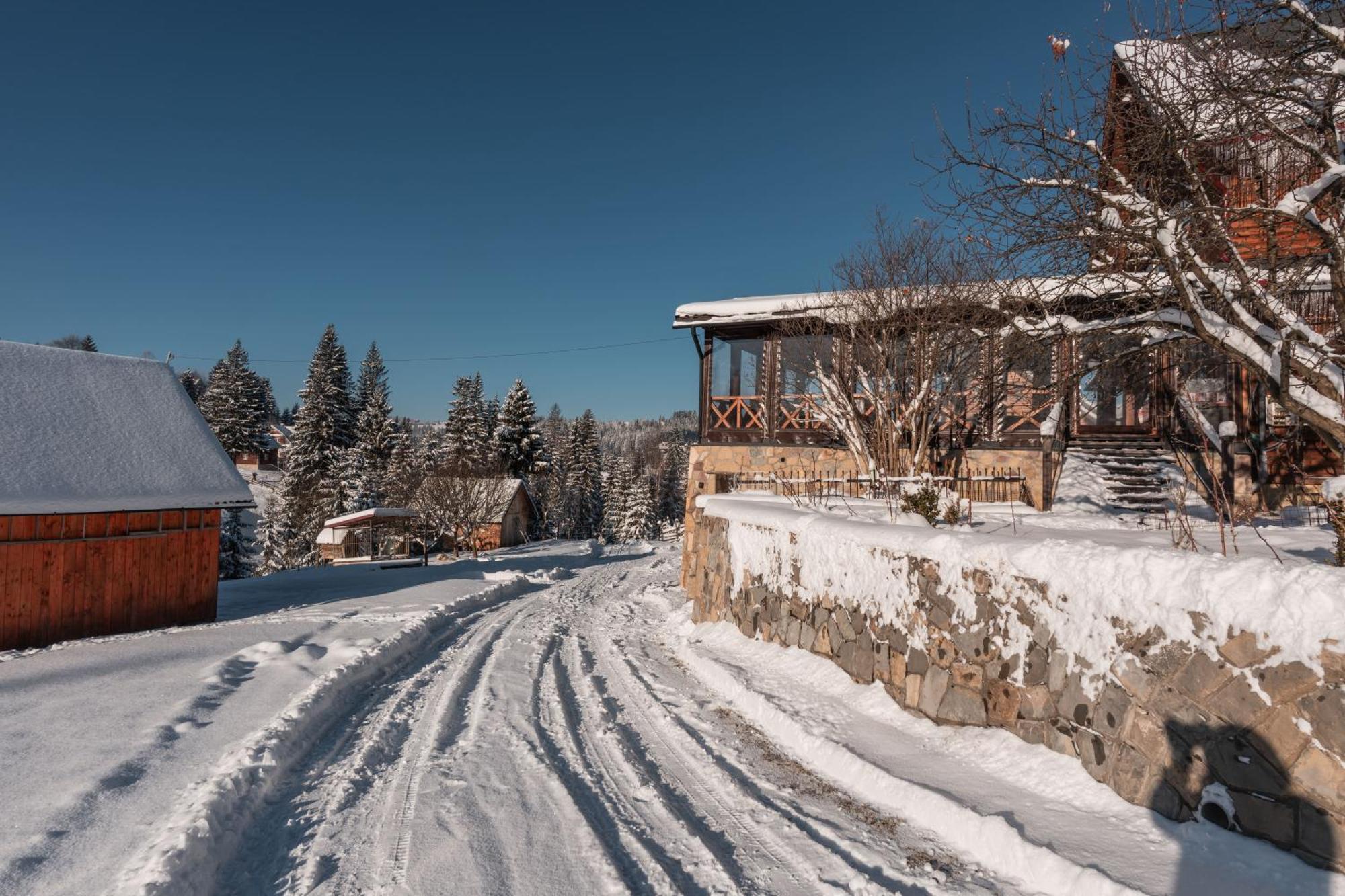 Гостьовий Дім "У Ані" Yablunytsya Exterior photo